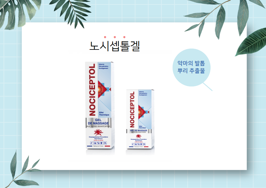 노시셉톨겔 포스터 사진