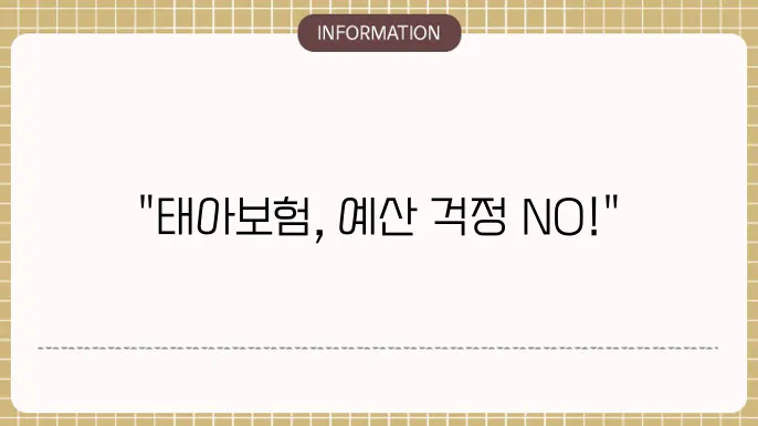 현대해상 태아보험 비용: 합리적 예산안내