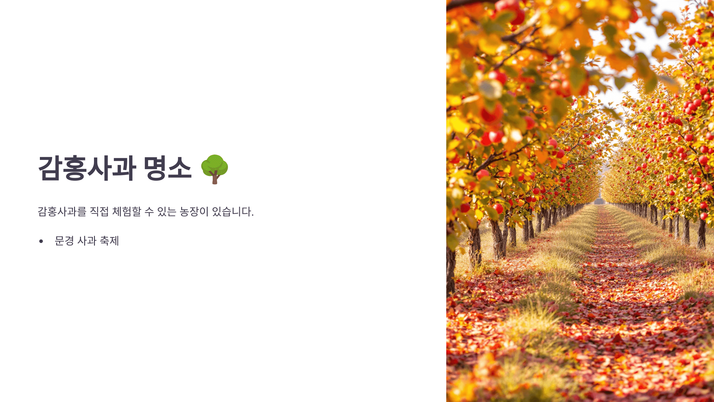 감홍사과 사진입니다.