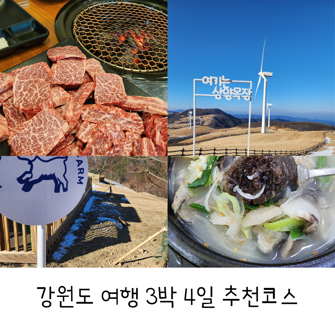  강원도 여행 3박 4일간의 여행코스 추천