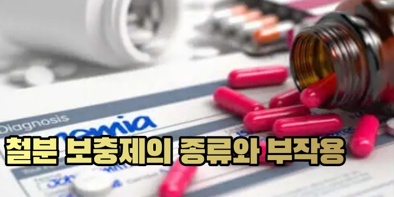 철분보충제 종류 및 부작용