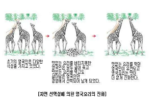  펌) 국민성 유머