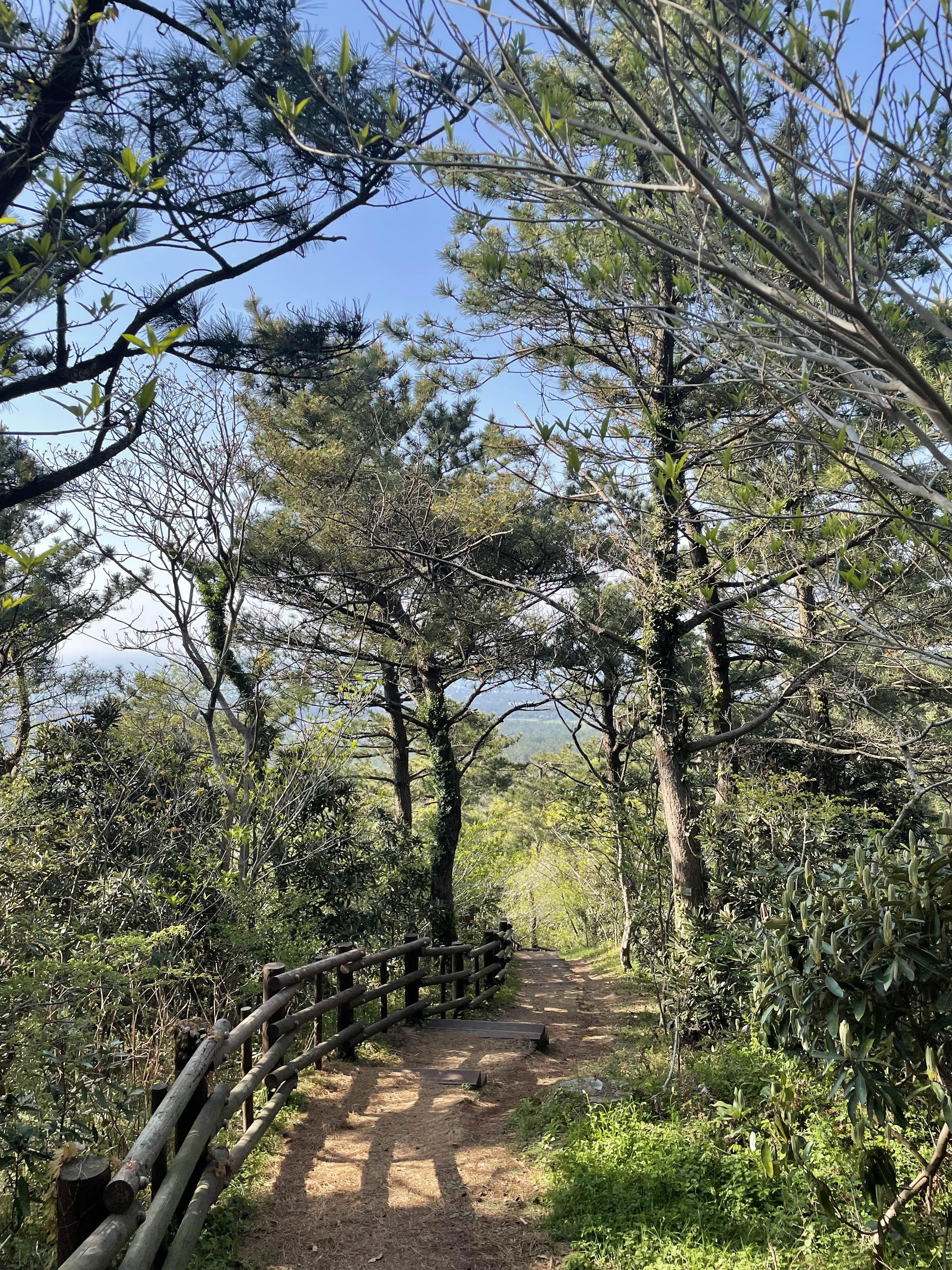  [아무튼,오름] 느지리오름