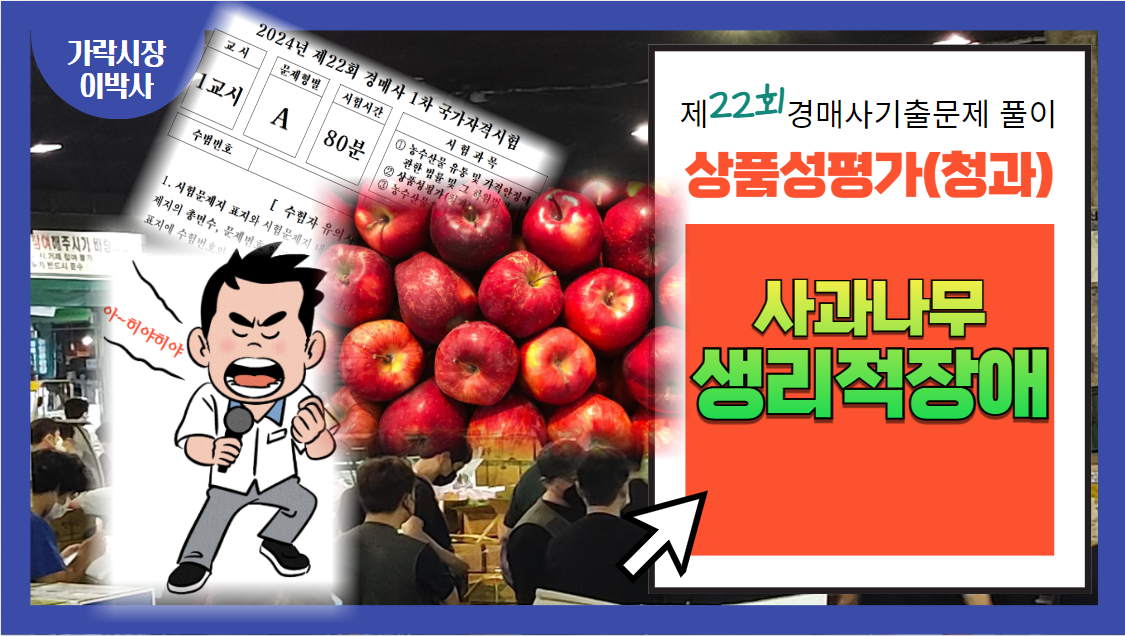  [제22회 경매사 기출문제 풀이-청과부류 상품성평가(28)] 경매사시험에 떨어지더라도 난 한 그루의 "사과나무"를 심겠습니다!