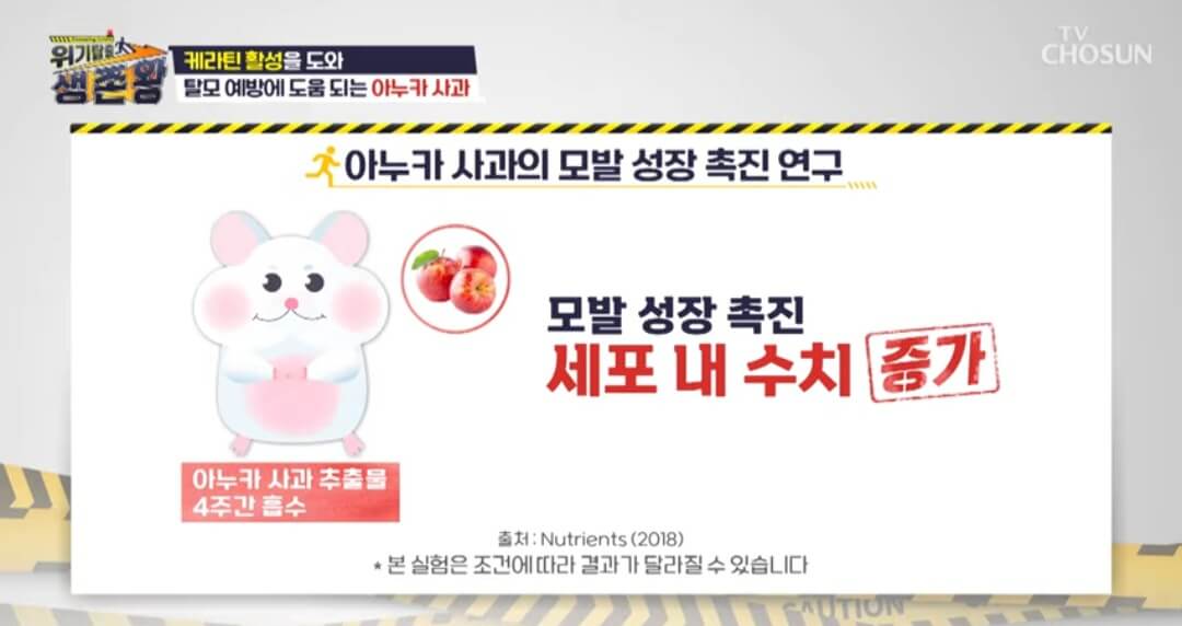 아누카 사과분말 탈모효능