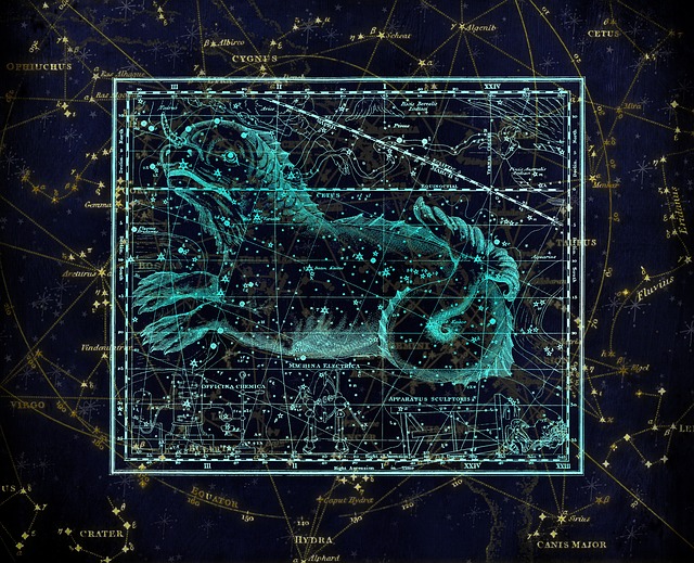Capricorn
