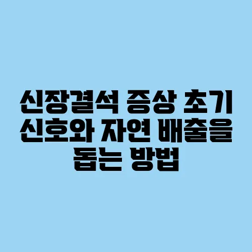 신장결석 증상 초기 신호와 자연 배출을 돕는 방법