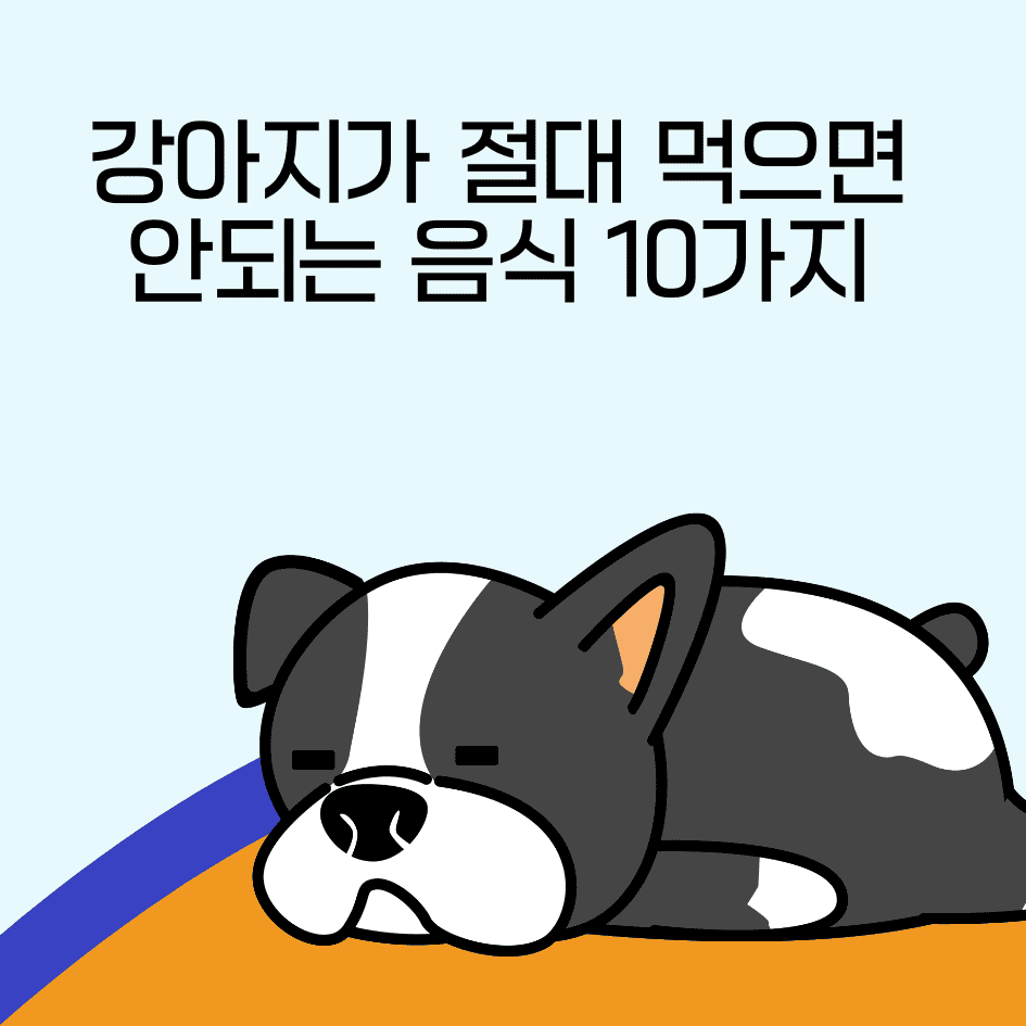 강아지가 절대 먹으면 안되는 음식 10가지