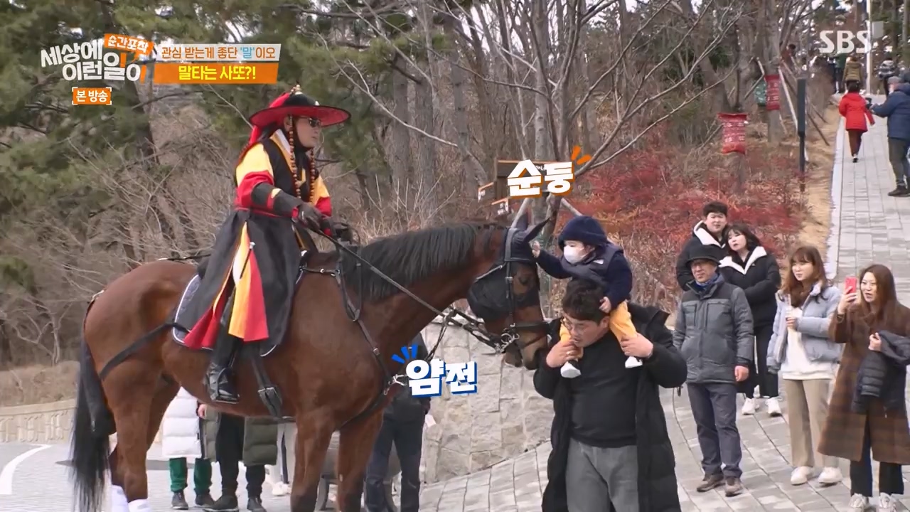 순간포착 세상에 이런일이.E1267.240303p-NEXT.mp4_20240303_163246.912.jpg