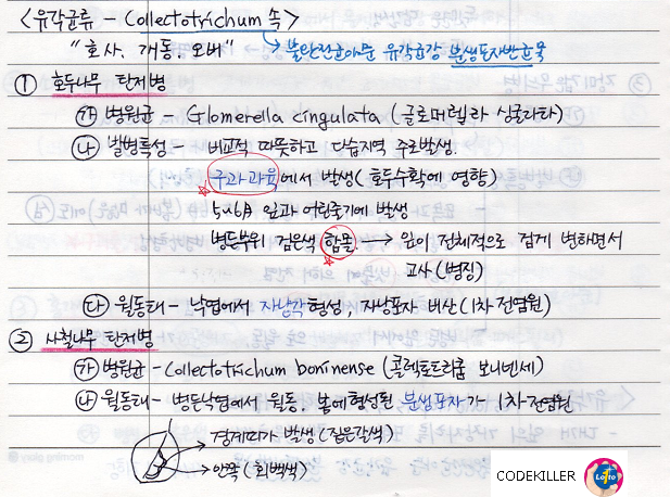  [수목병리학] (잎에 나타나는 수목병 - 유각균류 Collectotrichum 속) 호두나무 탄저병, 사철나무 탄저병, 동백나무 탄저병, 버즘나무 탄저병