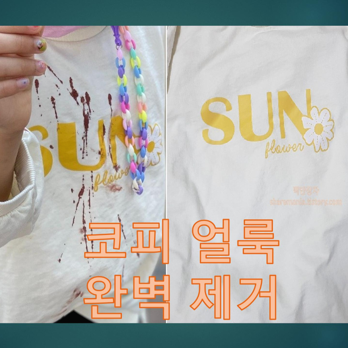  옷에 묻은 코피 얼룩 완벽한 제거 방법