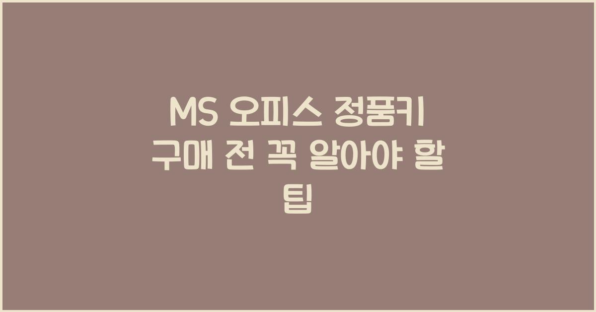 MS 오피스 정품키