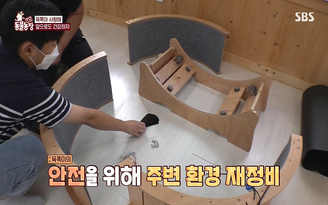 TV 동물농장.E1087.220919p-NEXT.mp4_20220918_180237.868.jpg