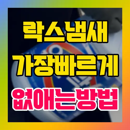 락스냄새 가장 빠르게 없애는 방법