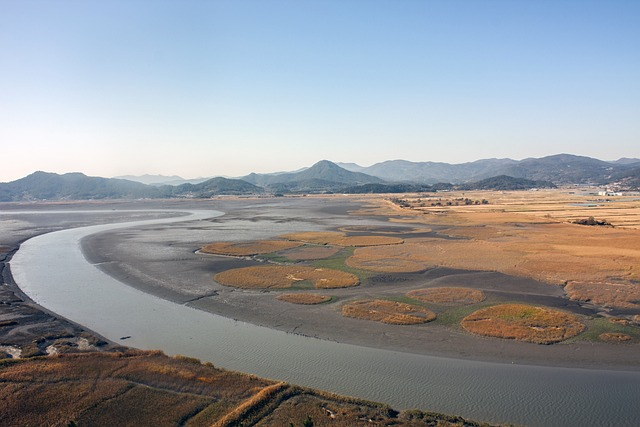순천만