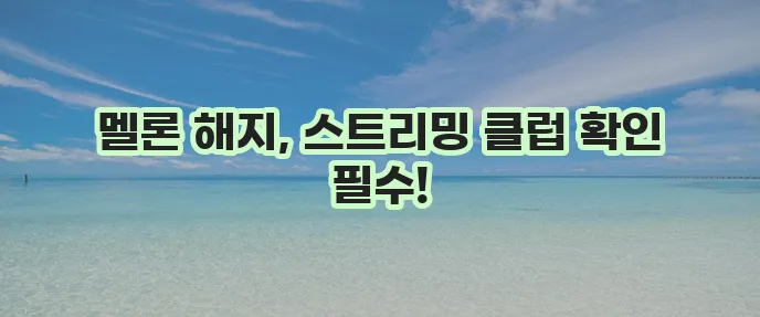 멜론 모바일 이용권 해지 방법 스트리밍 클럽 해지가 중요하죠