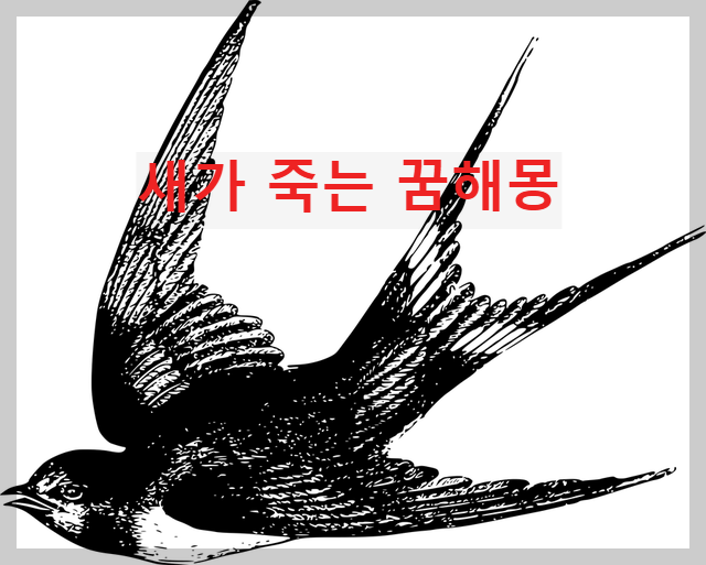  새가 죽는 꿈의 의미