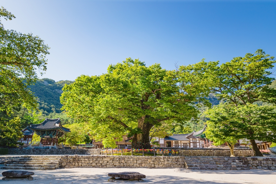 부안 가볼만한곳 베스트10