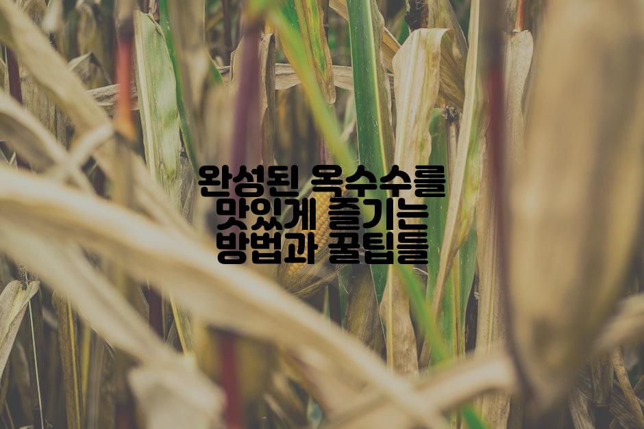 완성된 옥수수를 맛있게 즐기는 방법과 꿀팁들