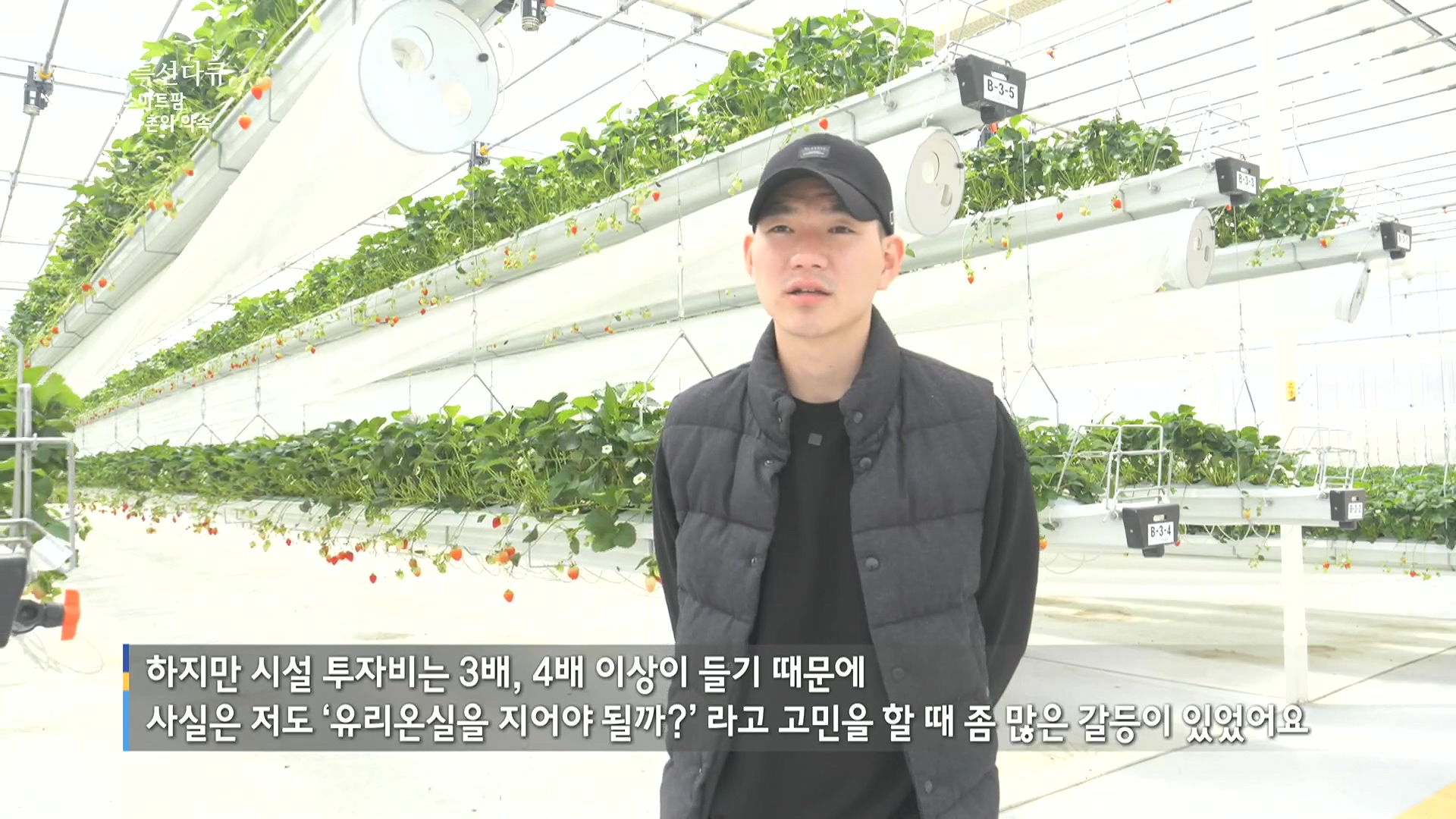 일요 특선 다큐멘터리.E348.240804p.H264-F1RST.mp4_20240805_195639.464.jpg