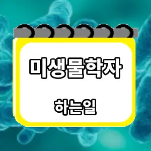 하는일