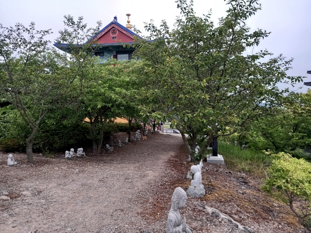 img.jpg