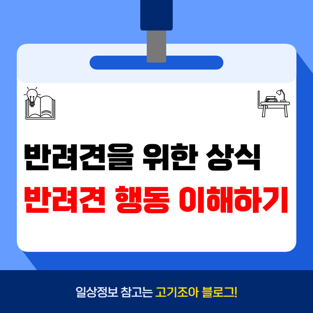 일상정보 참고는 고기조아 블로그!