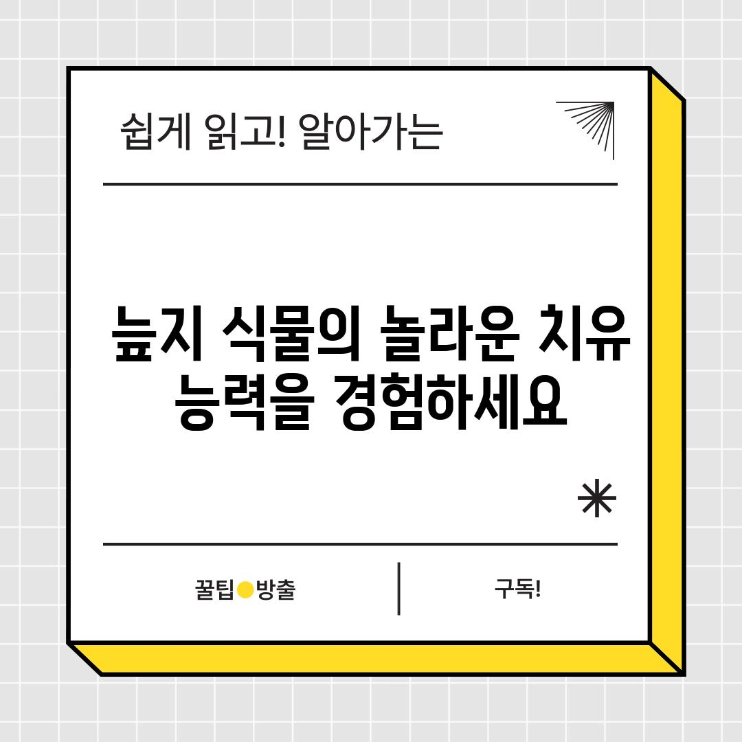 늪지 식물의 놀라운 치유 능력을 경험하세요