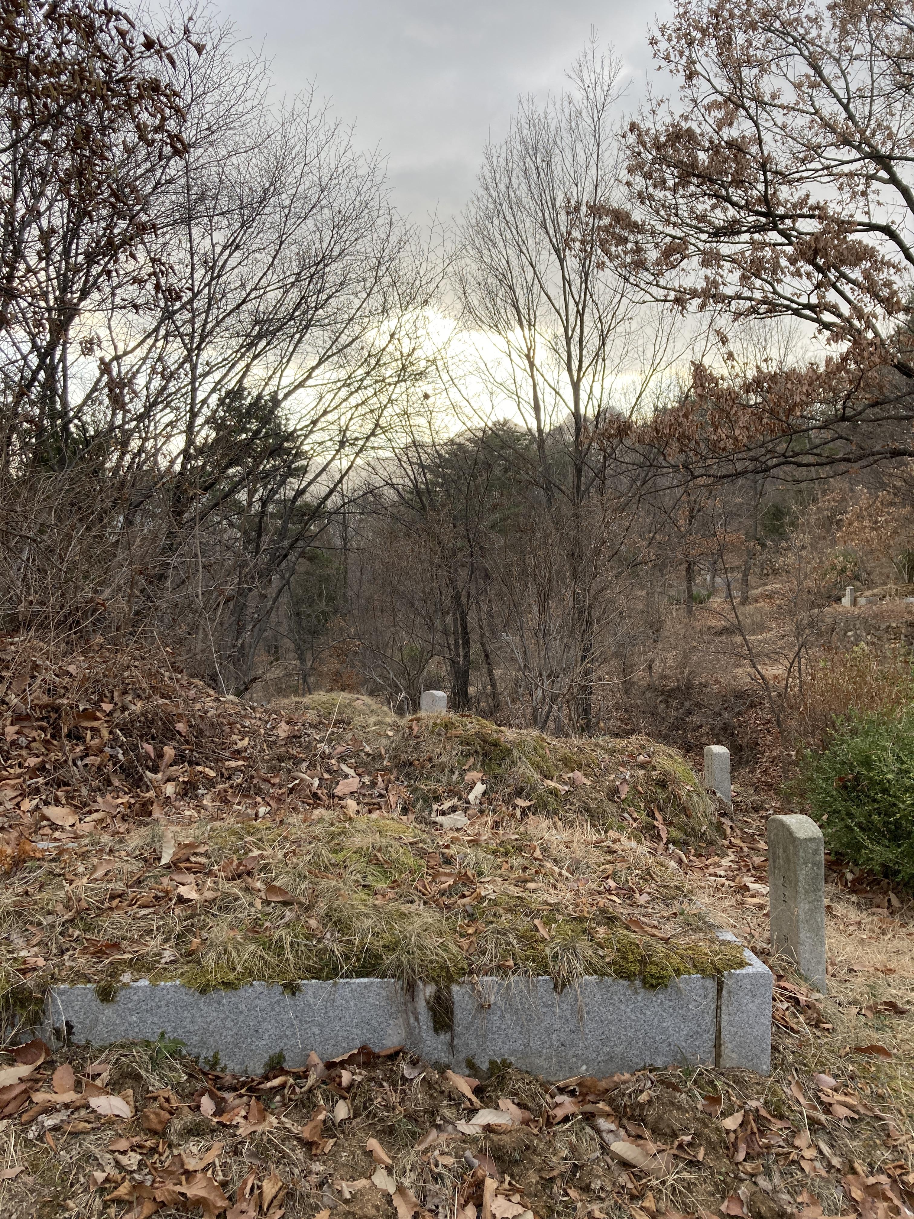 시원하고 바삭바삭 7