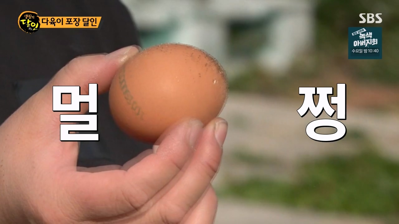 생활의 달인.E909.231031p-NEXT.mp4_20231031_200738.547.jpg