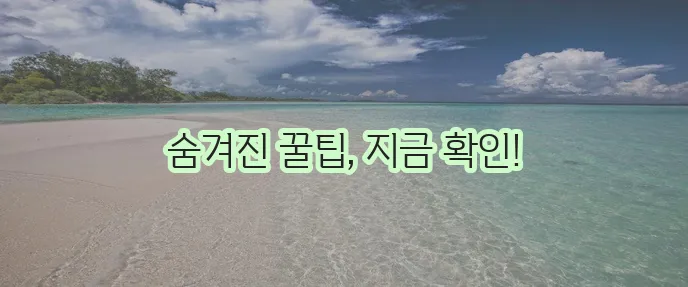 1분 만에 중고차 할부 완벽 정복하기