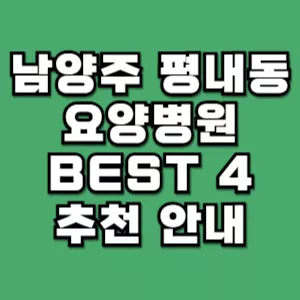 남양주시-평내동-요양병원