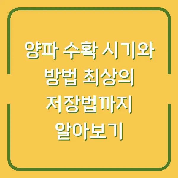 양파 수확 시기와 방법 최상의 저장법까지 알아보기