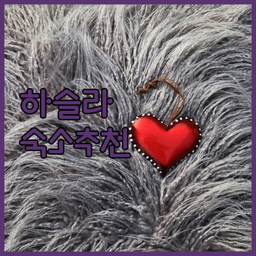 강릉 하슬라아트월드 근처 숙소 비교 