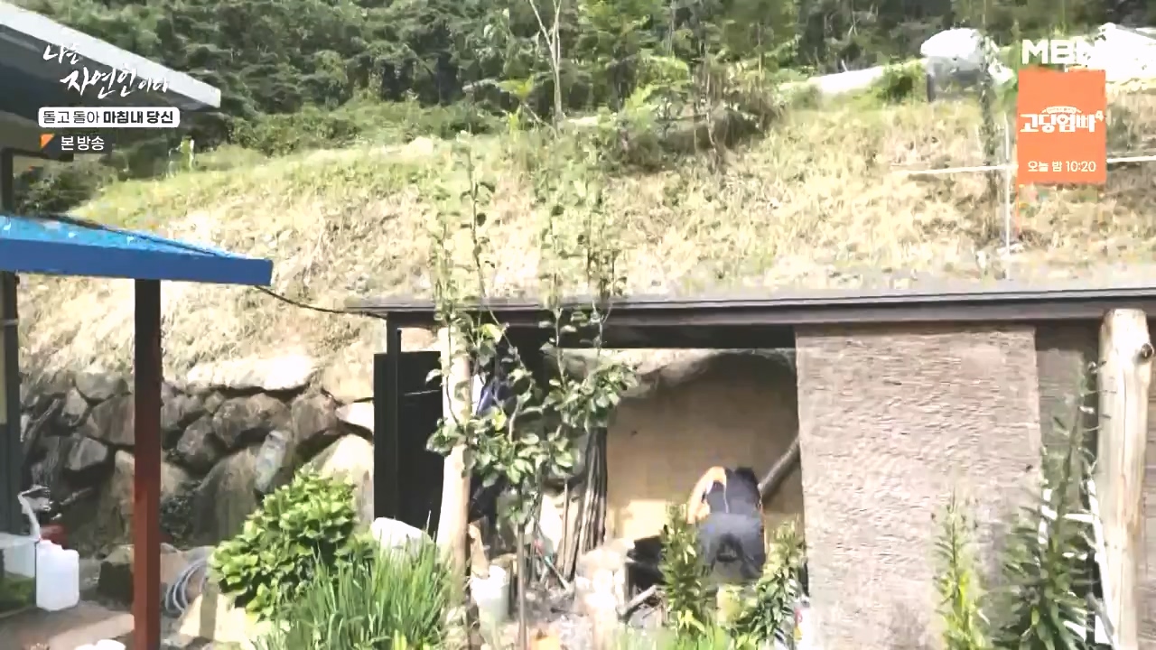 나는 자연인이다.E577.231026p-NEXT.mp4_20231026_200356.846.jpg