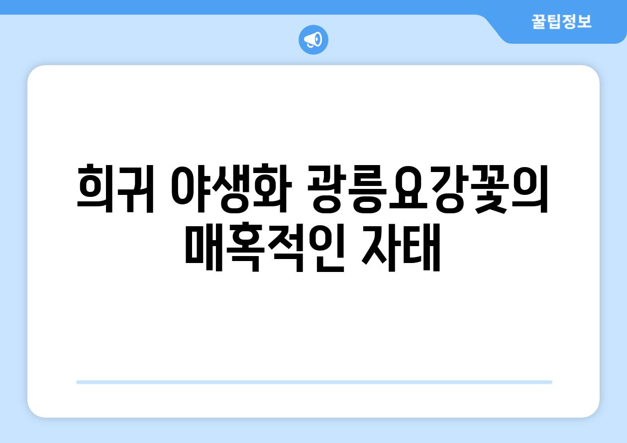 광릉요강꽃의 매혹적인 아름다움과 보존 노력 | 멸종위기종, 야생화, 생태, 보호