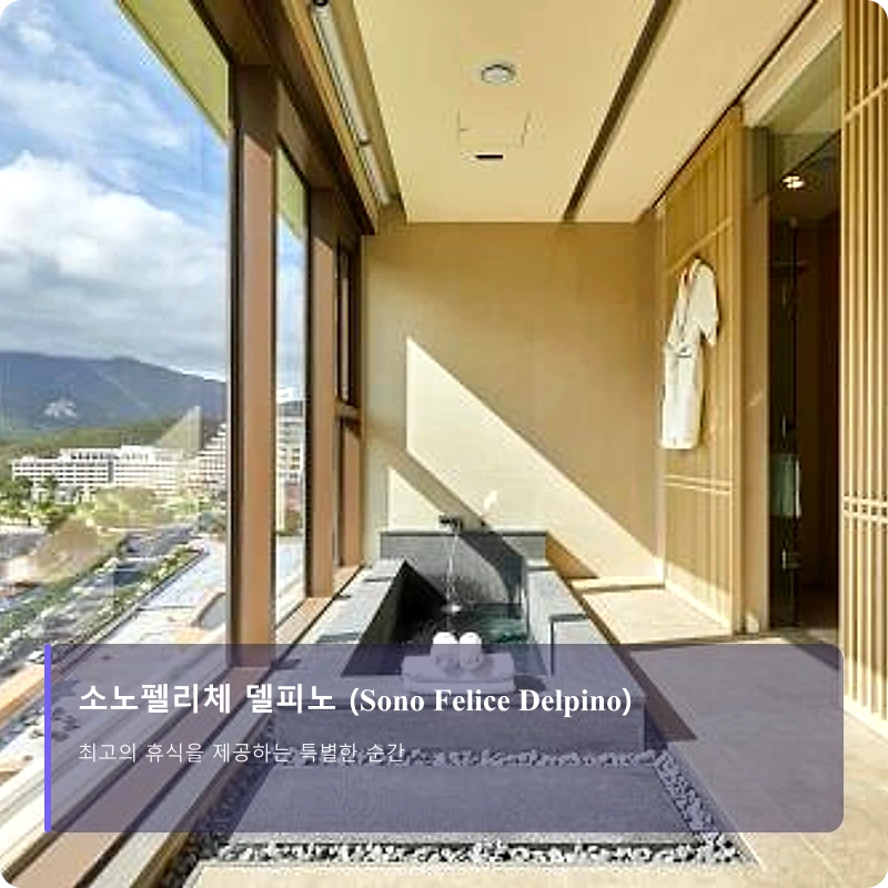 소노펠리체 델피노 (Sono Felice Delpino)_5
