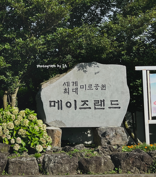  제주여행 : 비자림 숲 메이즈랜드 미로공원