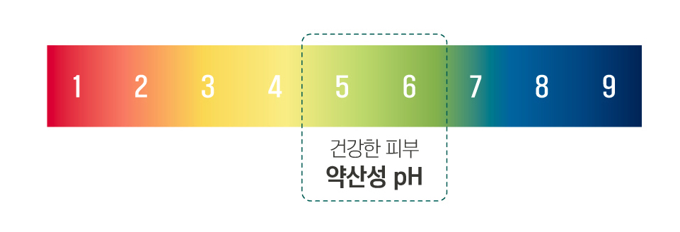 약산성 pH의 조건 pH 5~6 사이가 가장 적절함