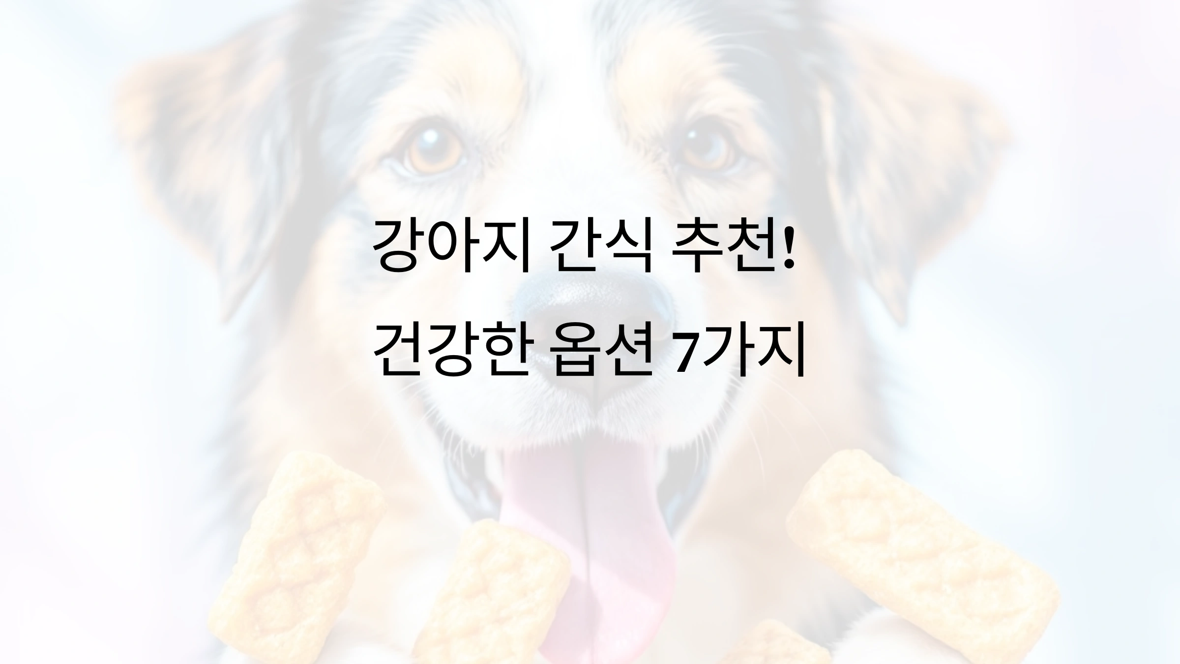 강아지 간식 추천! 건강한 옵션 7가지