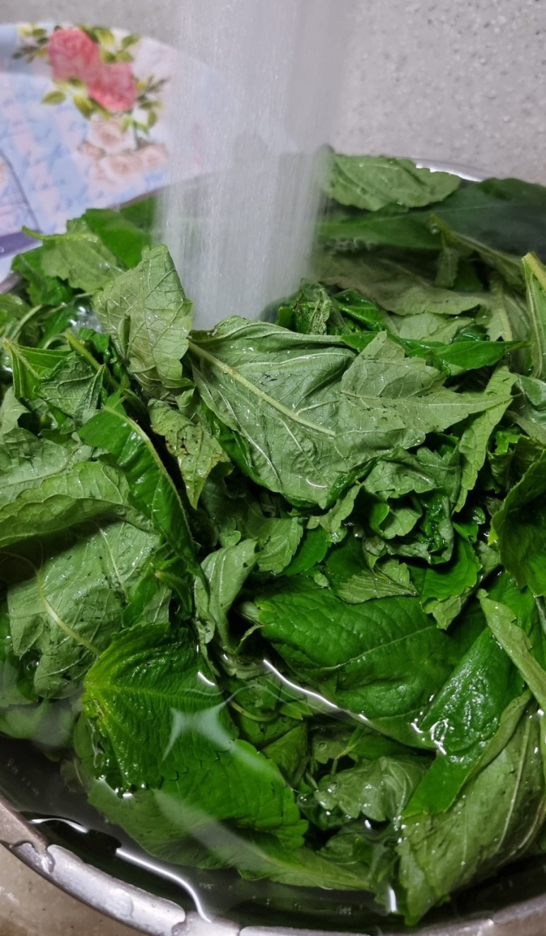 7월제철반찬 깻잎순나물볶음 13