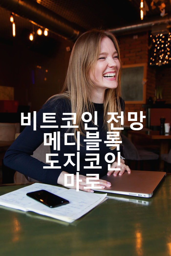 비트코인 예상 및 오늘의 코인 메디블록 ,도지코인,마로 비트코인 예상 및 오늘의 코인 메디블록 ,도지코인,마로