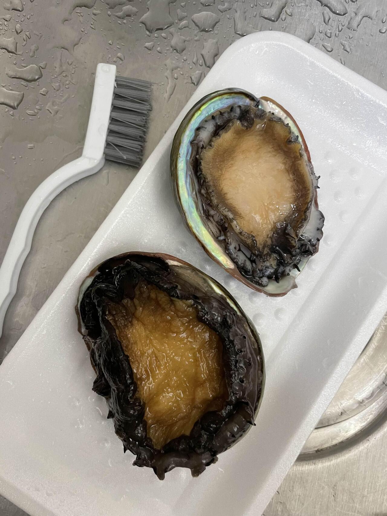전복 손질