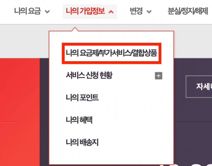 나의-가입정보