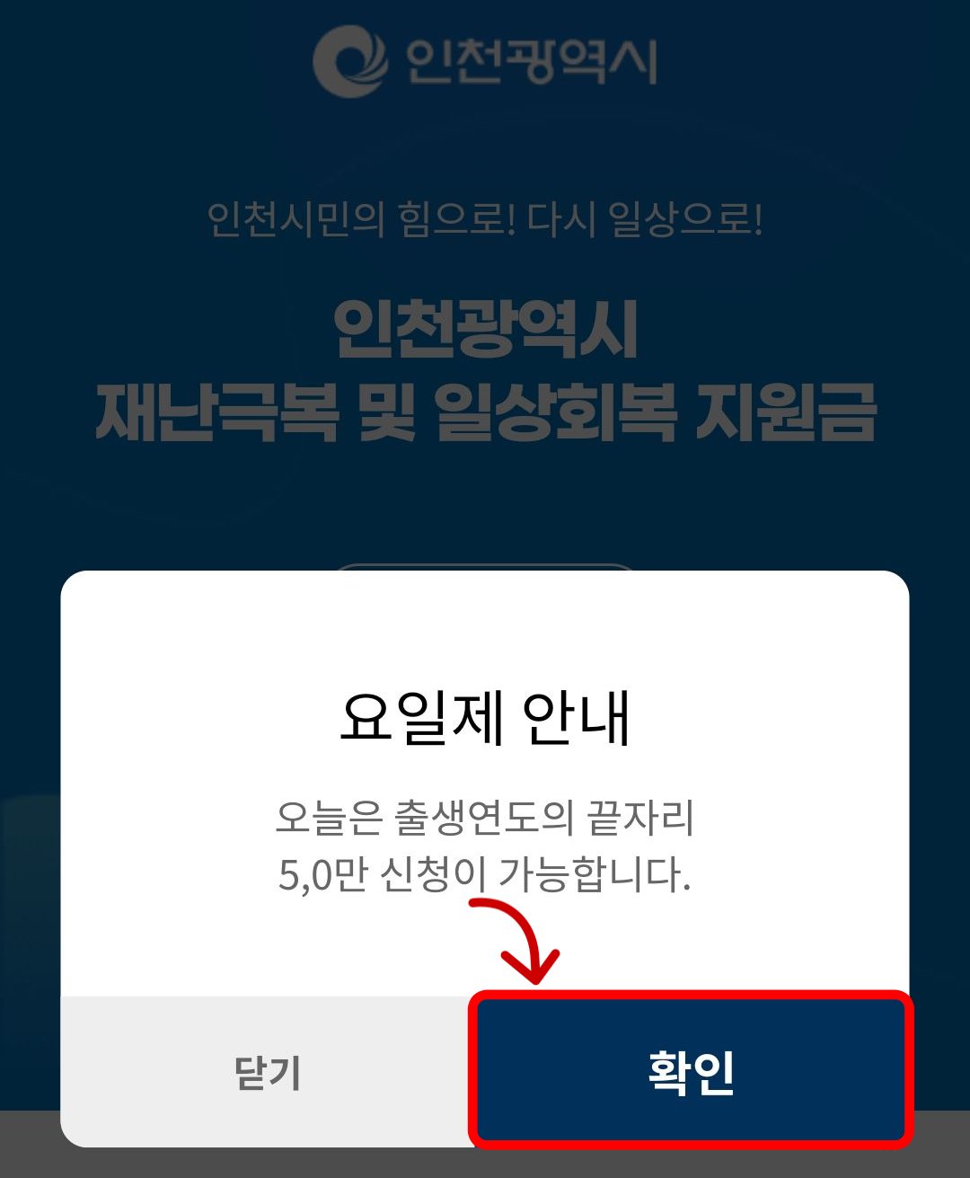 출생연도 요일제 확인