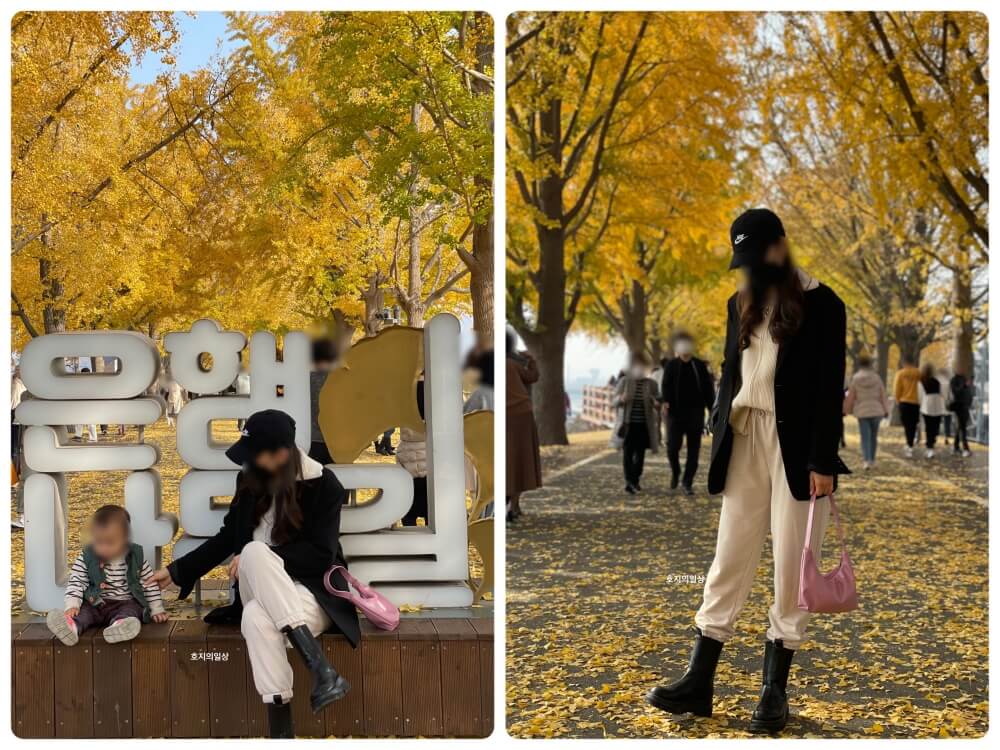 아산 배방 곡교천 은행나무길 포토존 인증샷