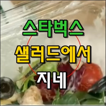  샐러드에서 지네가 나온 고객에게 스타벅스 본사측의 대응