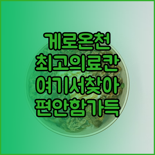 게로 온천 지역에서 찾은 최고의 료칸