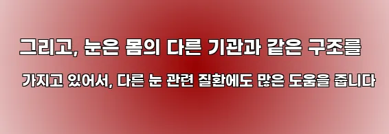  그리고, 눈은 몸의 다른 기관과 같은 구조를 가지고 있어서, 다른 눈 관련 질환에도 많은 도움을 줍니다