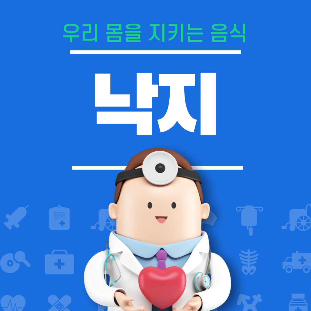 낙지 효능